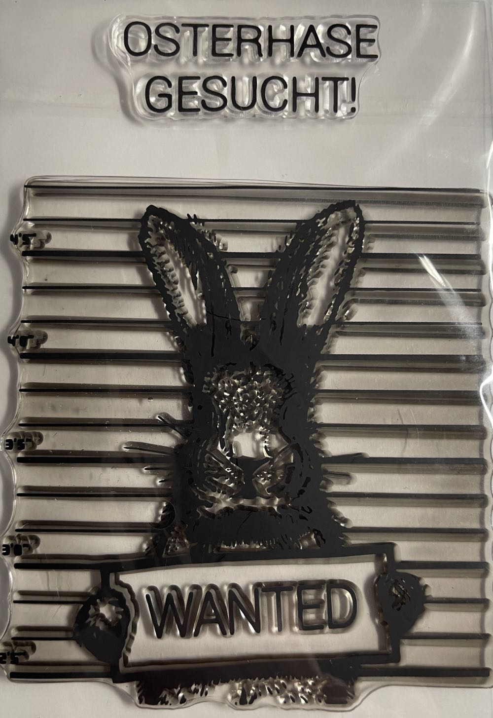 Intercosmos Space Programme