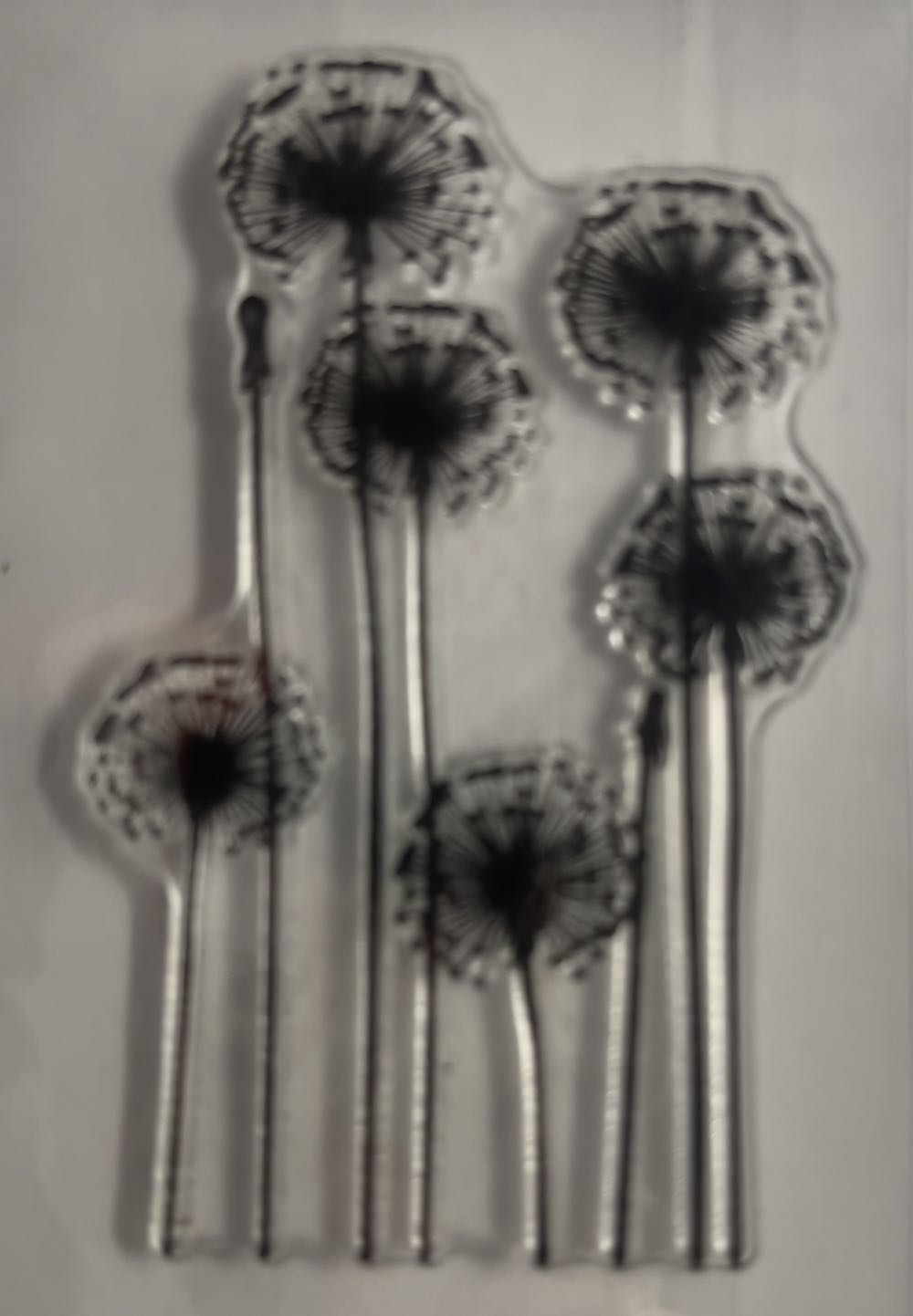 King Albert I, Belgium 1 Fr