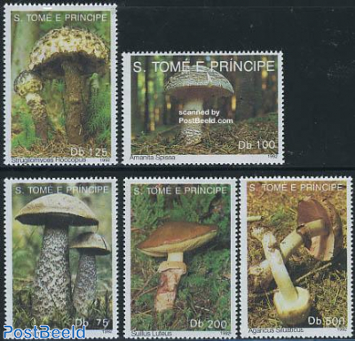 Comrade Brewing - Denver