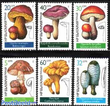 Peter Parker: Spider-Man 50