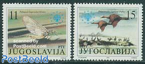 Welocoming face 8v m/s