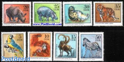 On, Tweety! On, Daffy!