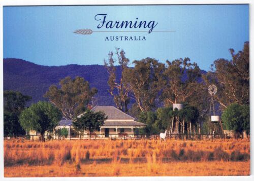 Clark’s Cup Of Cheer