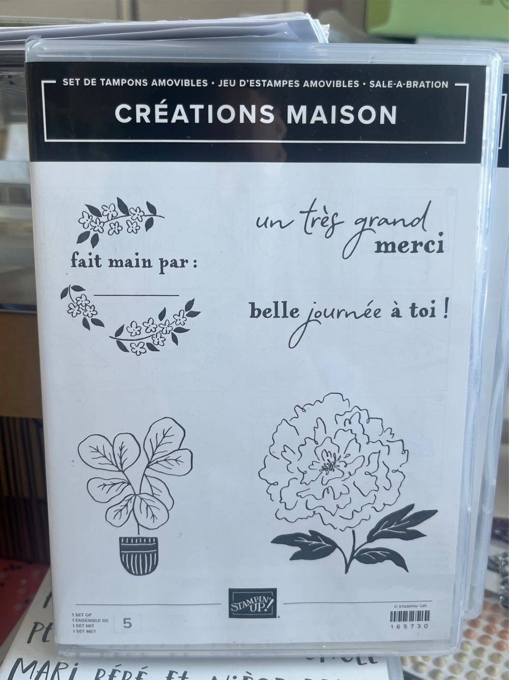 Ghost Whisperer: The Muse #3 :: Ricerca: