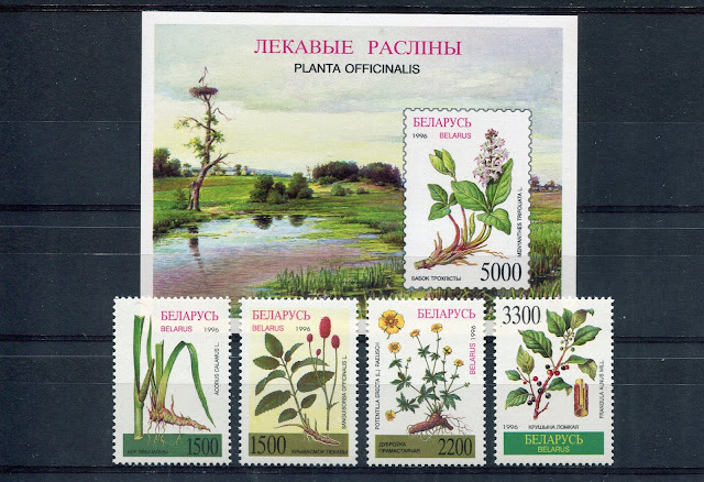 Лекарственные растения  stamp collectible - Main Image 2