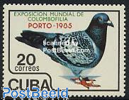 Koningin Wilhelmina (type Veth)