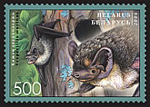  Летучие мыши  stamp collectible - Main Image 3