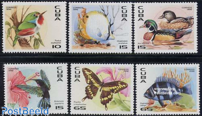 One Unlikely Team-Bolt