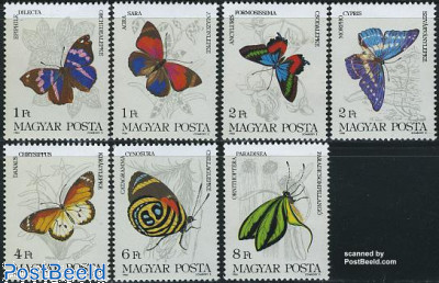 Diebolt Brewing - Denver