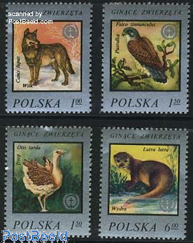 Том и Джерри Рождество 2024