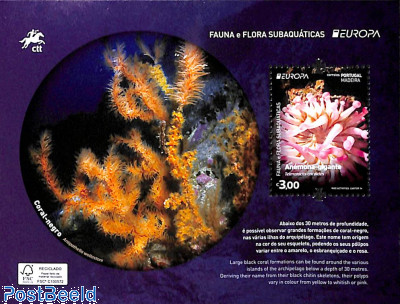 Europa, marine life 1v  stamp collectible - Main Image 2