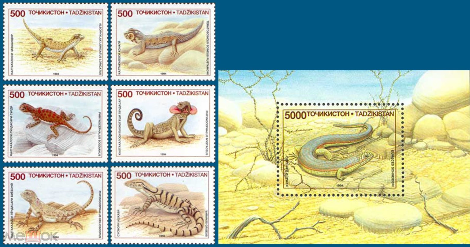 Spooky Spiders And Bats