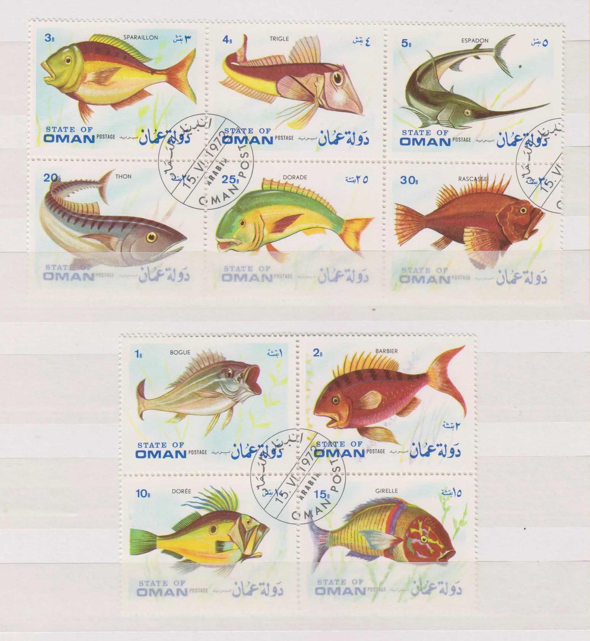 50 Years of Santy Claus