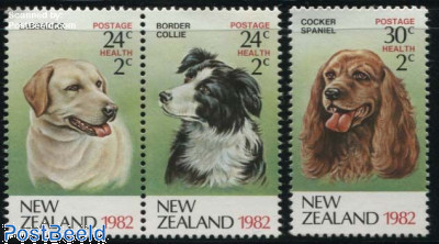 Graduation Sentiments