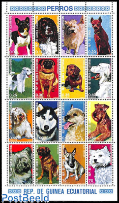 Raptors Black Breasted Buzzard Birds Prey