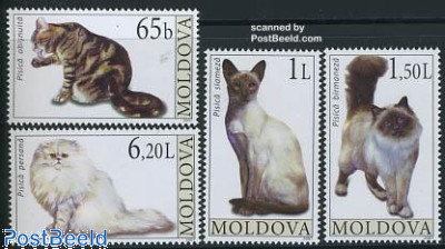 Военная форма Мальтийского ордена