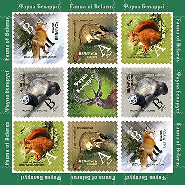 Sailing championship 8v