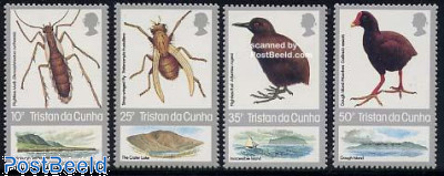 A Winterfun Ride. Frosty