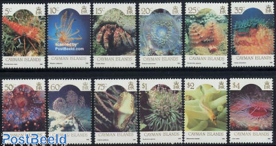 1682-1685. Флора России. Шишки хвойных деревьев и кустарников