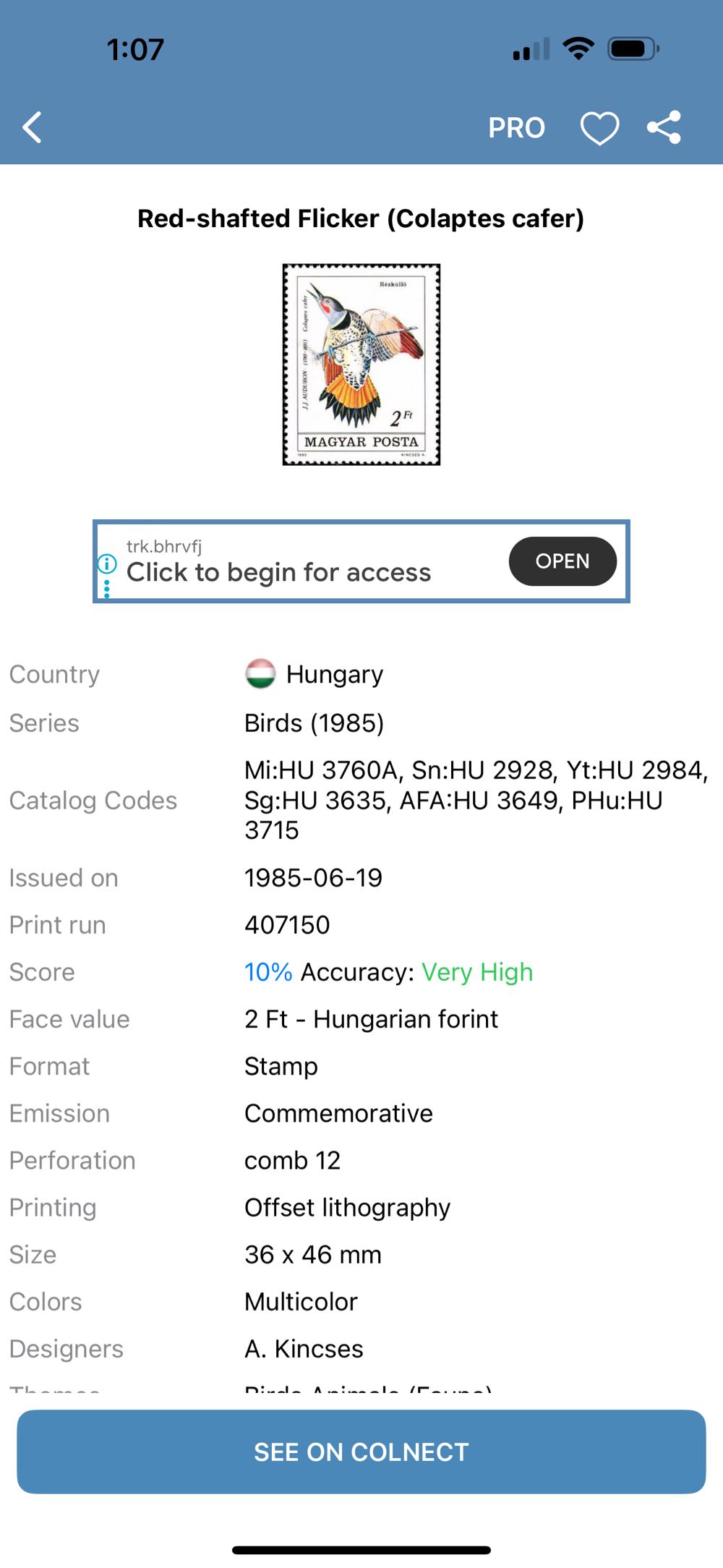 Red-crested Pochard  stamp collectible - Main Image 2