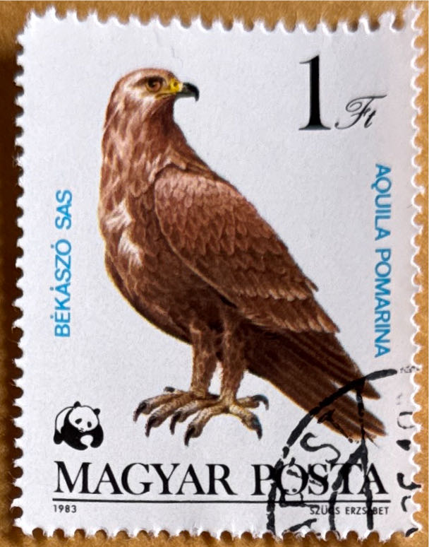 685-698. Культовые сооружения религий и вероисповеданий России