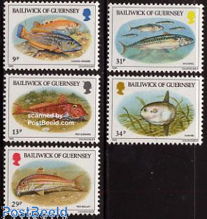 SW Obi Wan Kenobi AOTC