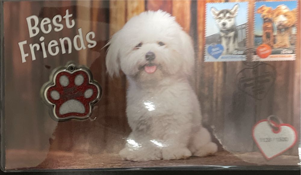 1976 Olympic Innsbruck Winter