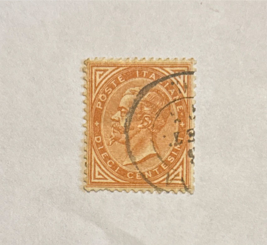 1682-1685. Флора России. Шишки хвойных деревьев и кустарников