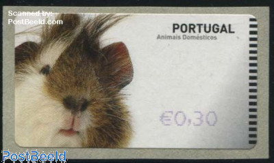 Set Winnie the Pooh Bélgica – 2 tarjetas con sellos incluidos (nuevo)