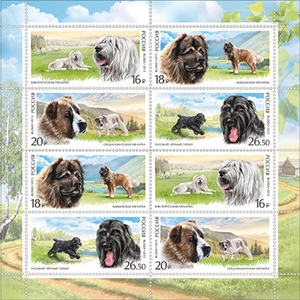 1976 Olympic Montreal Summer