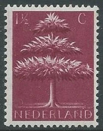 1976 Olympic Innsbruck Winter