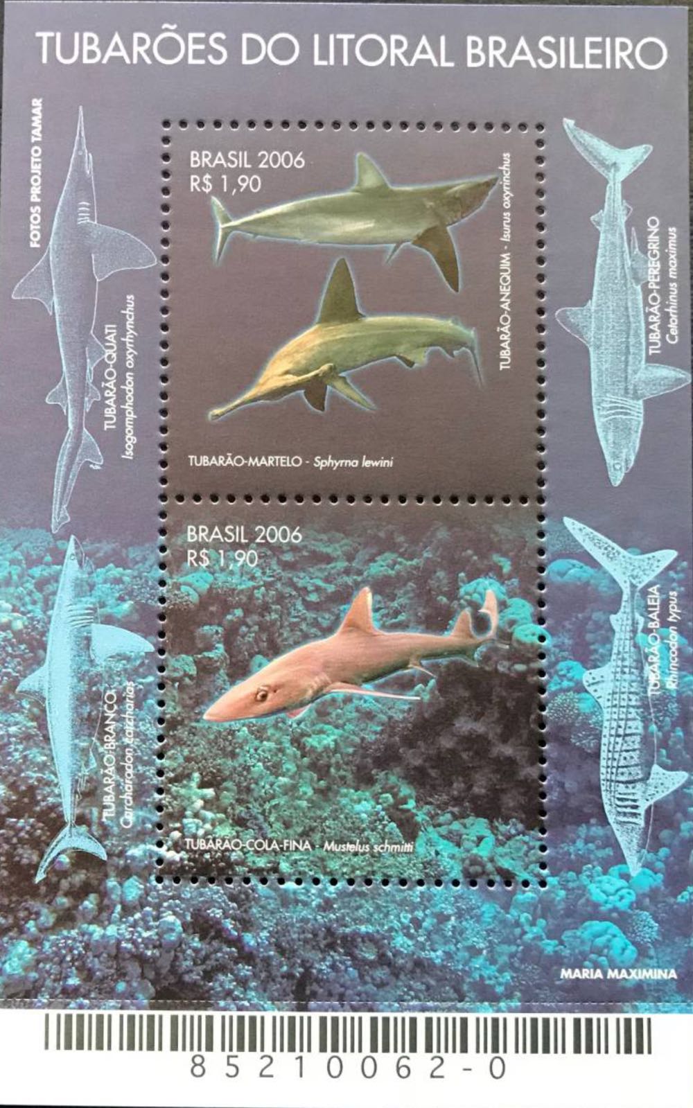 Merry Christmas Stamp Pack