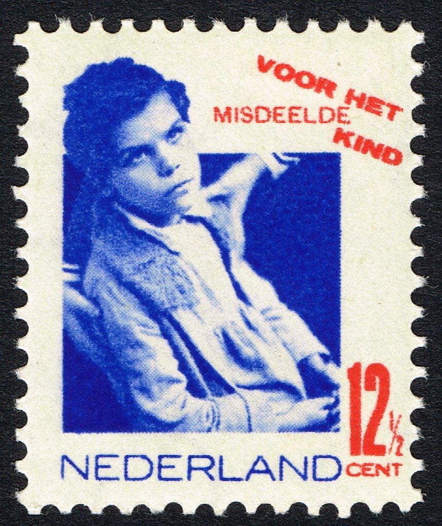 Baere Brewing - Denver