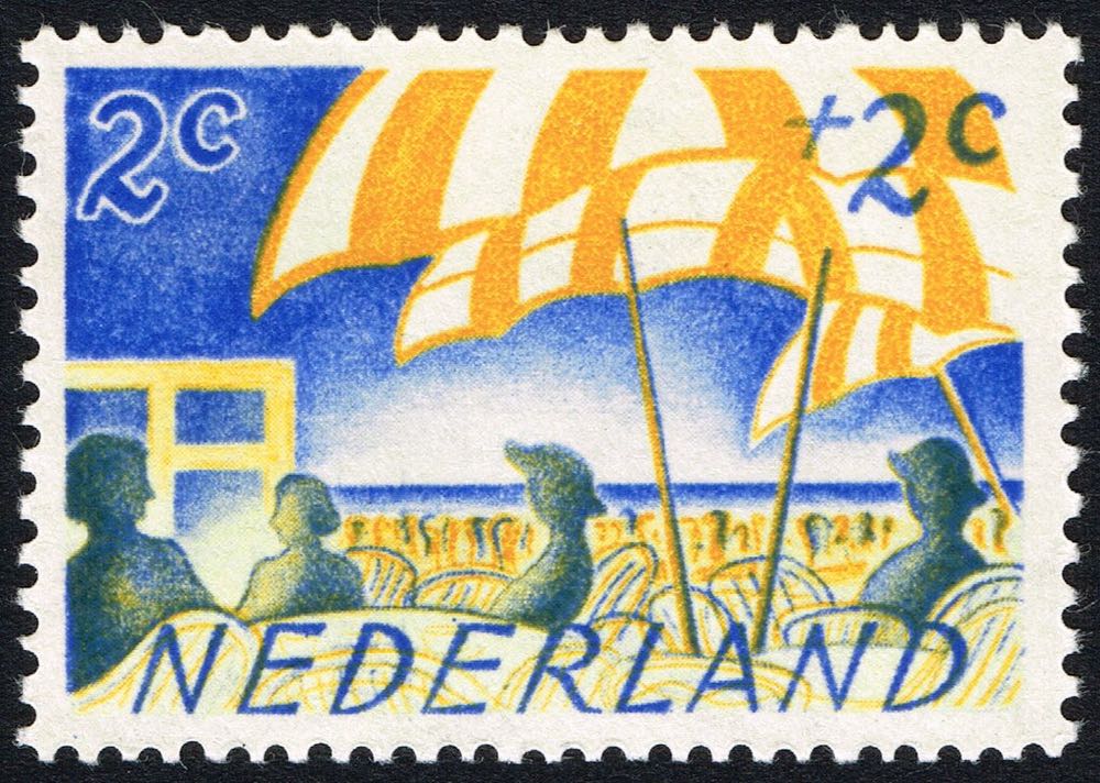 Cats Abyssinian Himalayan