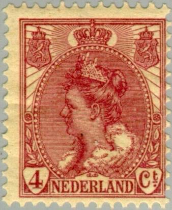 Comet Brews - Littleton