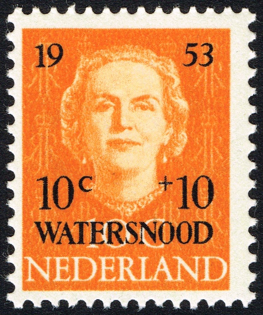 50 States Birds and Flowers