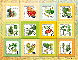 1964 Olympic Tokyo Summer