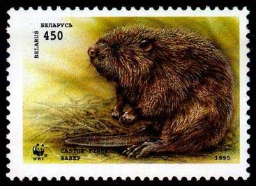 Бобр грызет ветку  stamp collectible - Main Image 2