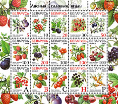 Very Nice Brewing - Nederland