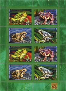 Amadeo Peter Giannina