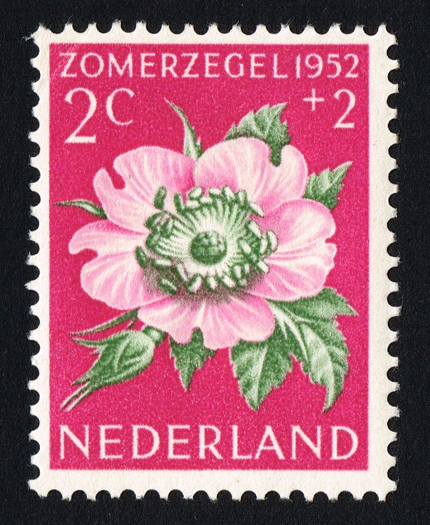 Danube conference 2v