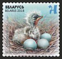Птенцы  stamp collectible - Main Image 4