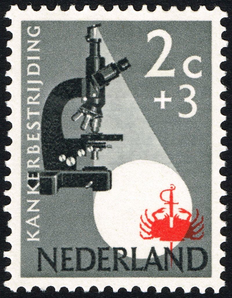 Mountain Merman Brewing - La Veta