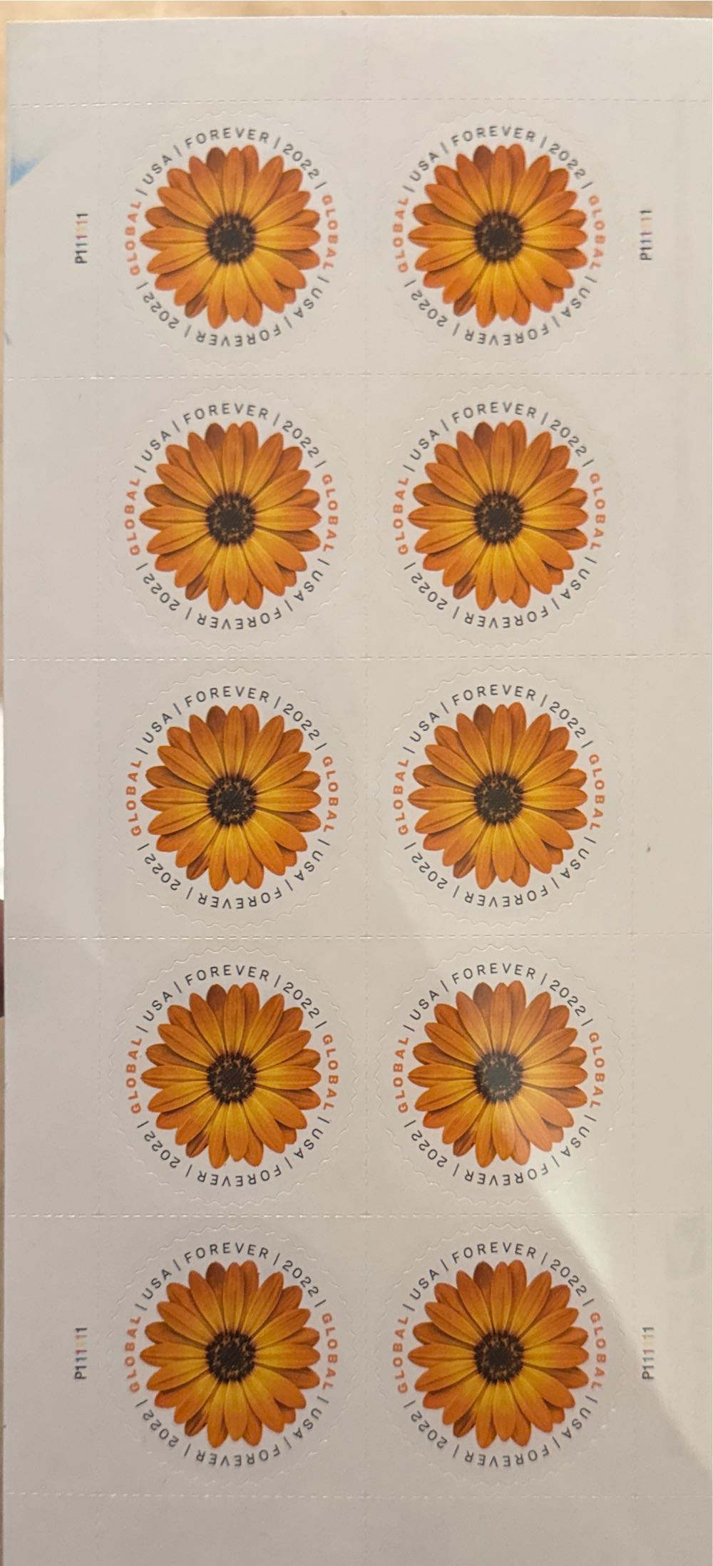 Stone Brewing - San Diego