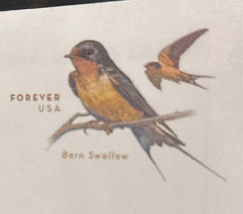 Barn Swallow  stamp collectible - Main Image 2