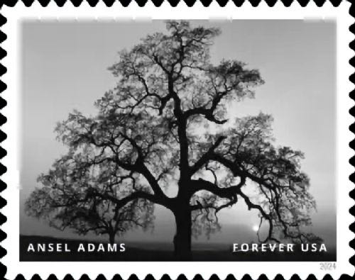 Ansel Adams, Masters of American Photograph, Scott 5854  stamp collectible - Main Image 3