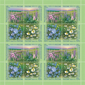 Angry James Brewing - Silverthorne