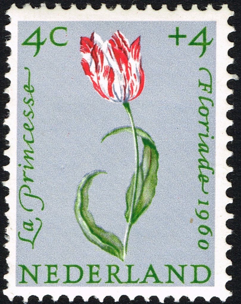 Hot Wheels Porsche Newsletter Set