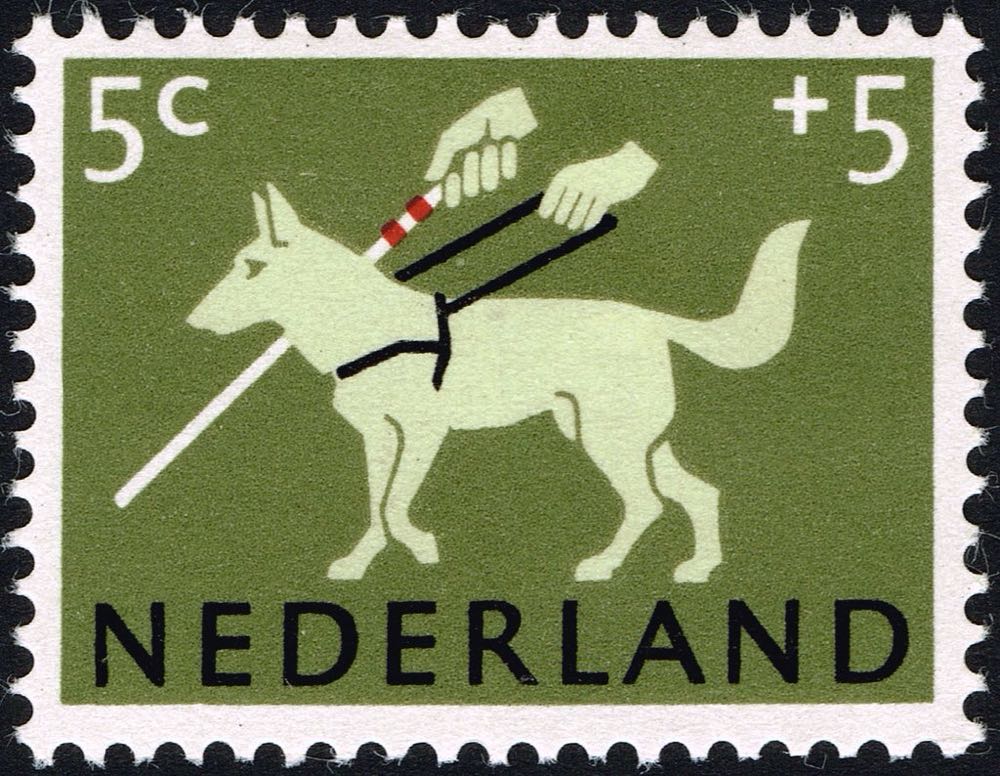 Copper Kettle Brewing - Denver