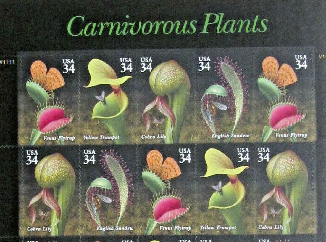 CARNIVOROUS PLANTS, Scott Number 3528-3531  stamp collectible - Main Image 2